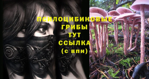 гашиш Алексин