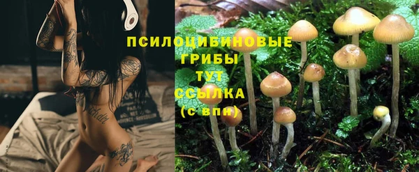 гашиш Алексин
